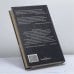 Дополнительное изображение книги «Агентство Золотая пуля»
