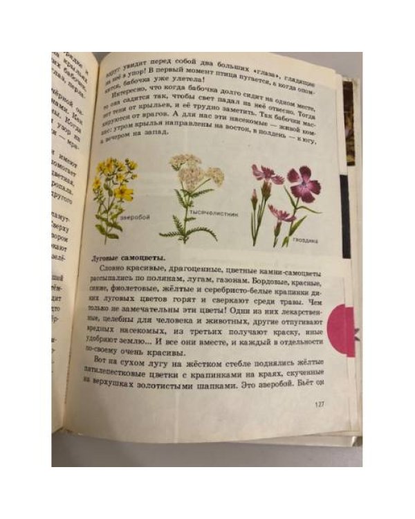 Краски природы