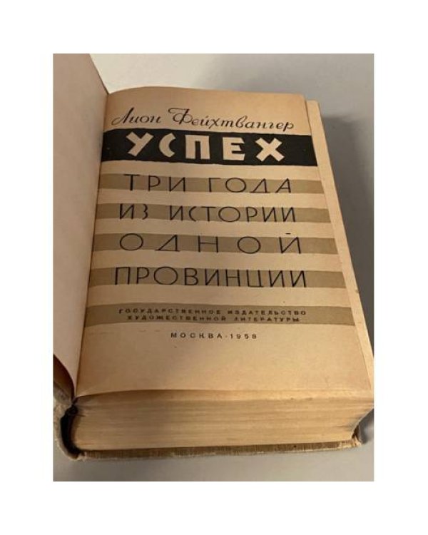 Успех. Три года из истории одной провинции
