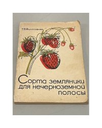 Сорта земляники для нечерноземной полосы