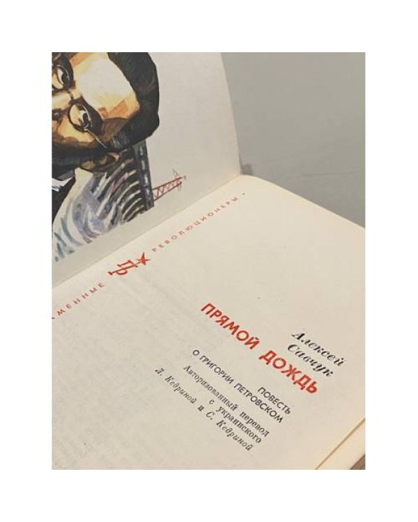 Дополнительное изображение книги «Прямой дождь»