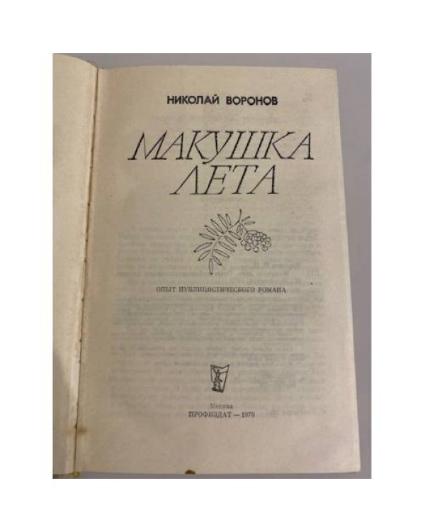 Дополнительное изображение книги «Макушка лета»
