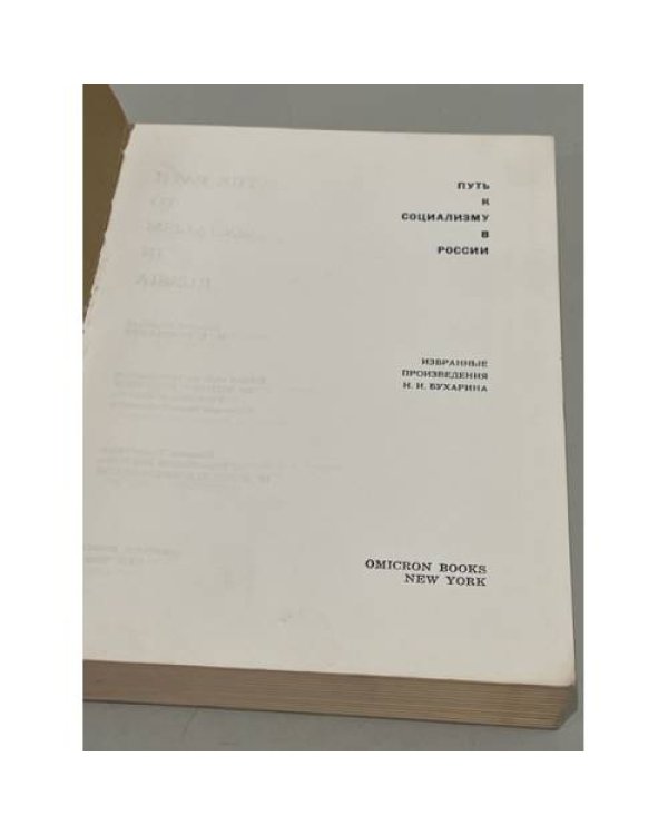 Дополнительное изображение книги «Путь к социализму в России»