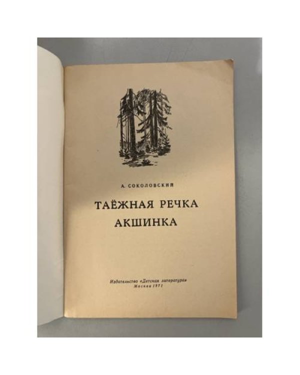 Таёжная речка Акшинка