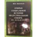 Очерки социальной истории индустриальной Сибири. XIX - начало XX в