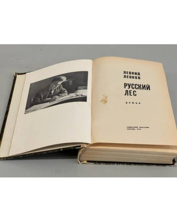Дополнительное изображение книги «Русский лес»