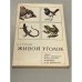 Обложка книги «Живой уголок» — Гусев В. Г.