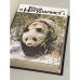 Дополнительное изображение книги «Журнал "Юный натуралист". Годовая подшивка за 1991 год»