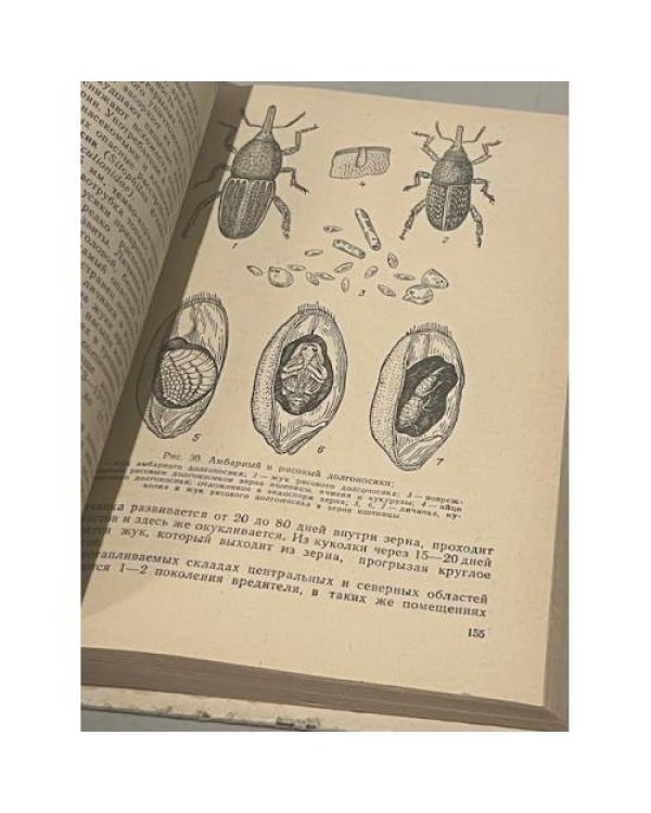 Дополнительное изображение книги « Защита растений»