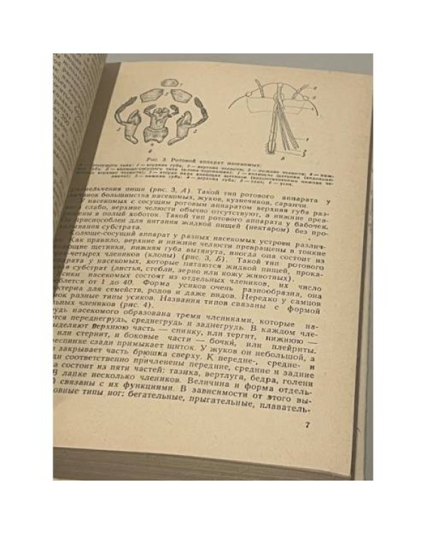 Дополнительное изображение книги « Защита растений»