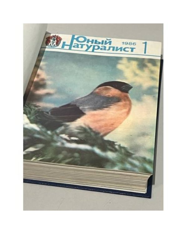 Дополнительное изображение книги «Журнал "Юный натуралист". Годовая подшивка за 1986 год»