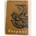 Обложка книги «Спартак» — Джованьоли Рафаэлло