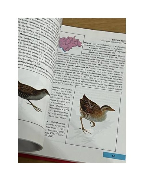 Красная книга Республики Марий Эл. Животные
