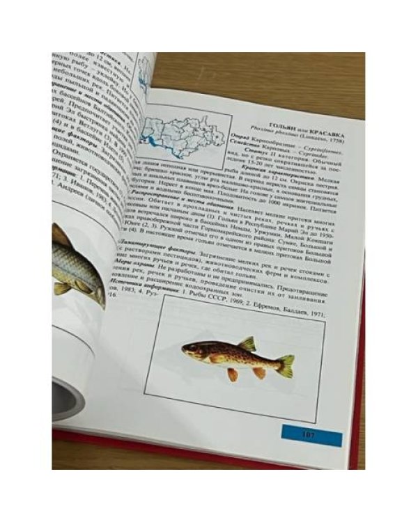 Красная книга Республики Марий Эл. Животные