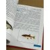 Красная книга Республики Марий Эл. Животные