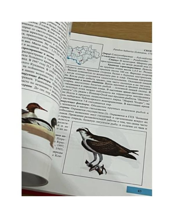 Красная книга Республики Марий Эл. Животные