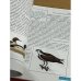 Красная книга Республики Марий Эл. Животные