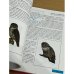 Красная книга Республики Марий Эл. Животные