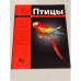Птицы. Мини-энциклопедия