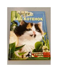 Ваш котенок