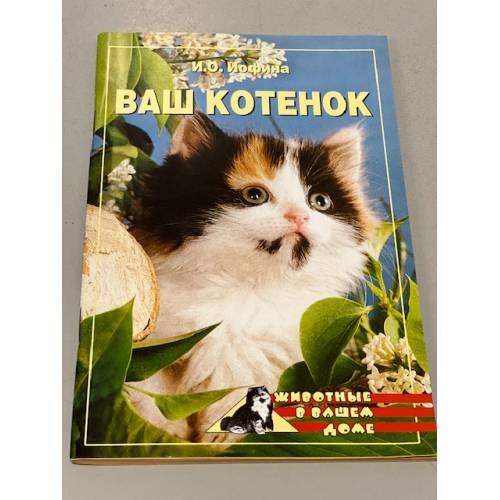 Ваш котенок