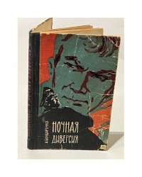 Ночная диверсия