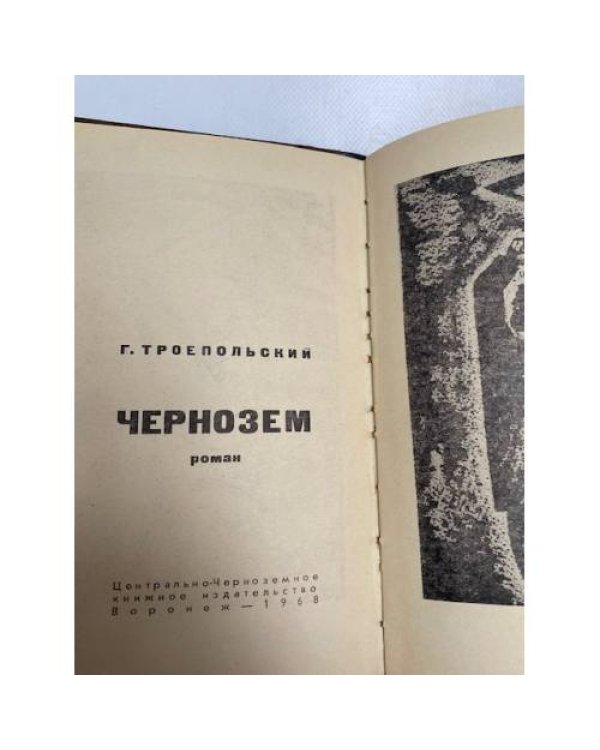 Чернозем