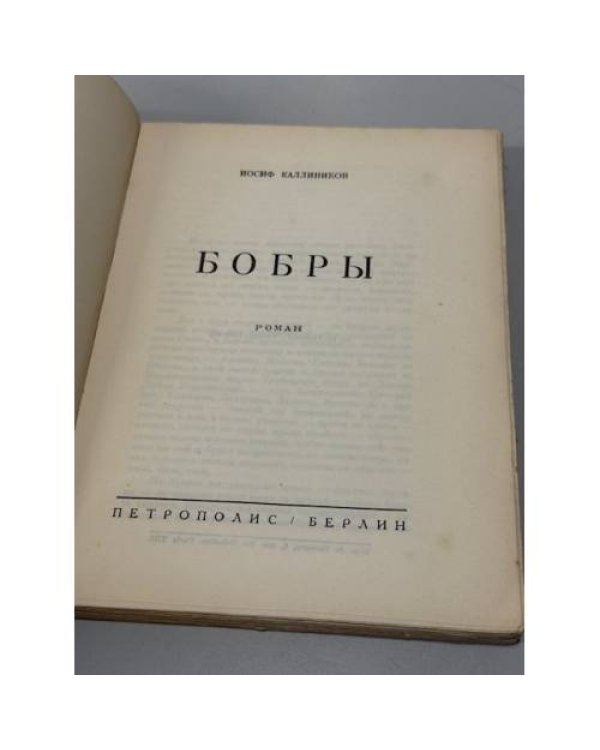 Дополнительное изображение книги «Бобры: роман»