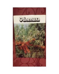 Облепиха