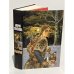 Обложка книги «Валькирия» — Мария Васильевна Семенова