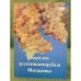 Курсом развивающейся Молдовы. 