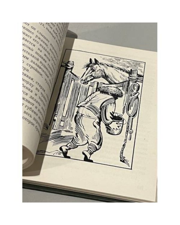 Дополнительное изображение книги « Изумруд и другие рассказы русских и советских писателей для детей»