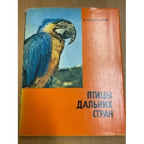 Птицы дальних стран