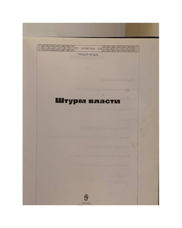 Штурм власти