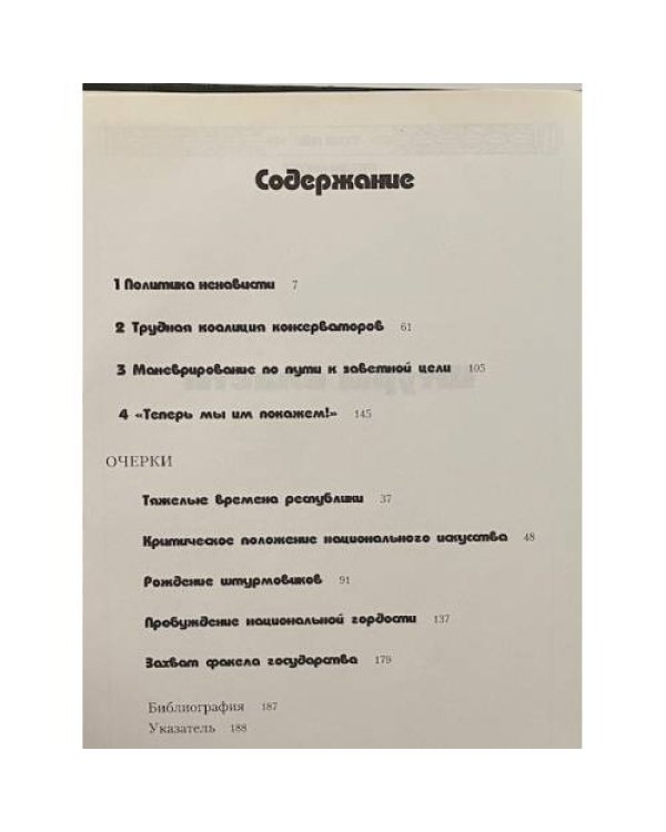 Штурм власти
