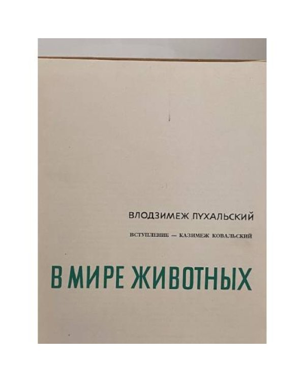 В мире животных