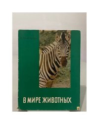 В мире животных