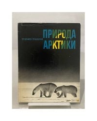 Природа Арктики