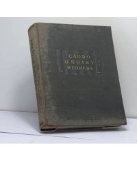 Слово о полку Игореве