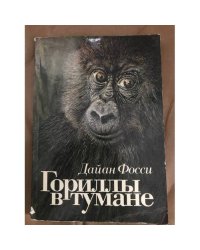 Гориллы в тумане