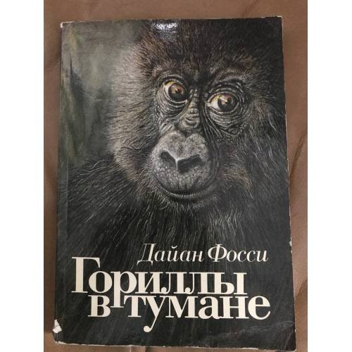 Гориллы в тумане