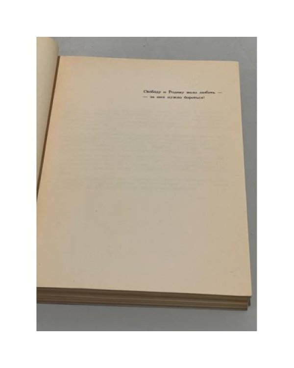 Берлинский Кремль (обложка Дюма А. «Королева Марго") Камуфляжное издание