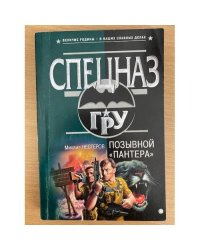 Позывной «Пантера»