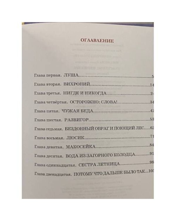 Дополнительное изображение книги «Счастливо, Ивушкин!»