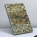 Обложка книги «Хохот Шамана» — Серкин В.П., ISBN 9785946631372