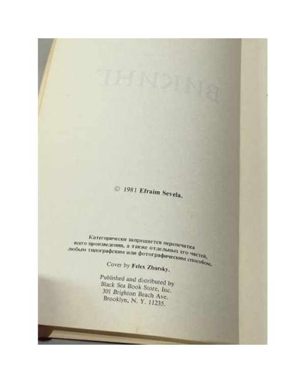 Дополнительное изображение книги «Викинг»