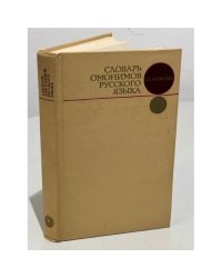 Словарь омонимов русского языка