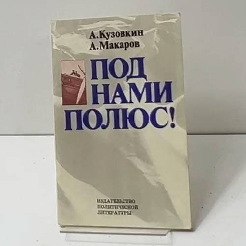 Под нами полюс!