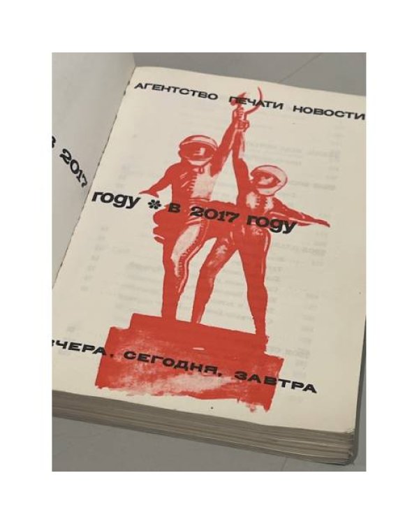 Дополнительное изображение книги «В 2017 году...»