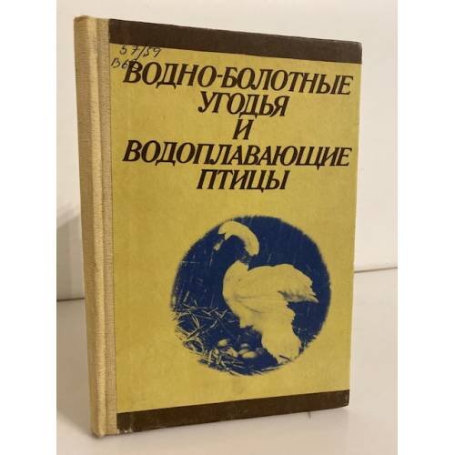Водно-болотные угодья и водоплавающие птицы